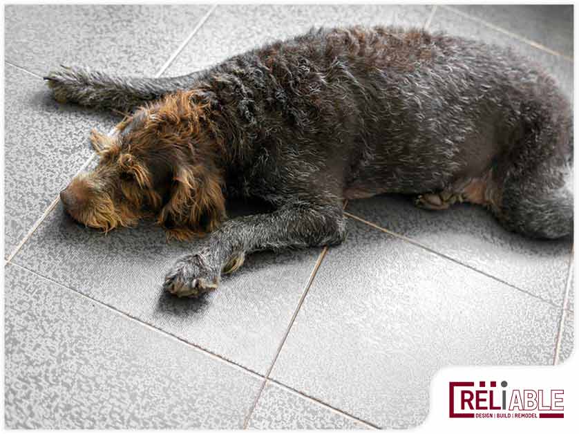 Construction Management Process What Are the Best Flooring Options for Households With Pets?