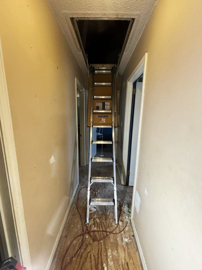Rdbr Kappen Attic attic renovation contractors picture