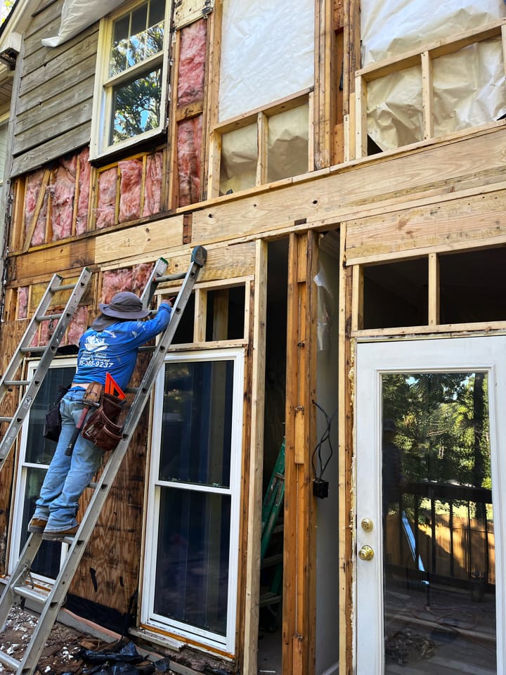 termite damage vs wood rot picture