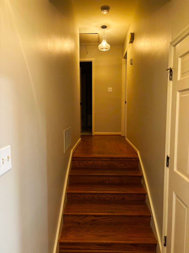 Rdbr Rosser Carpet02 Cesnick37