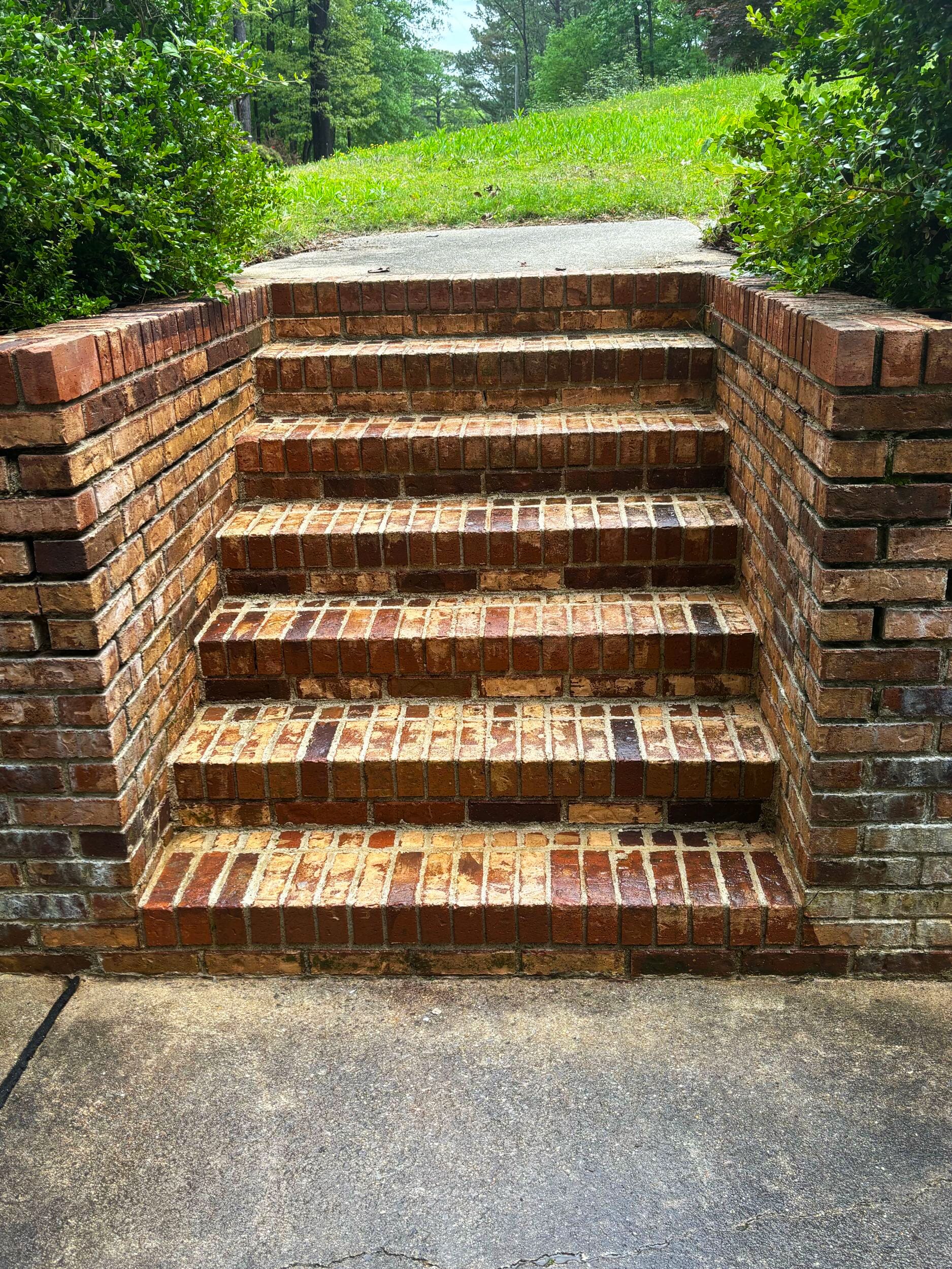 backyard remodeling picture
