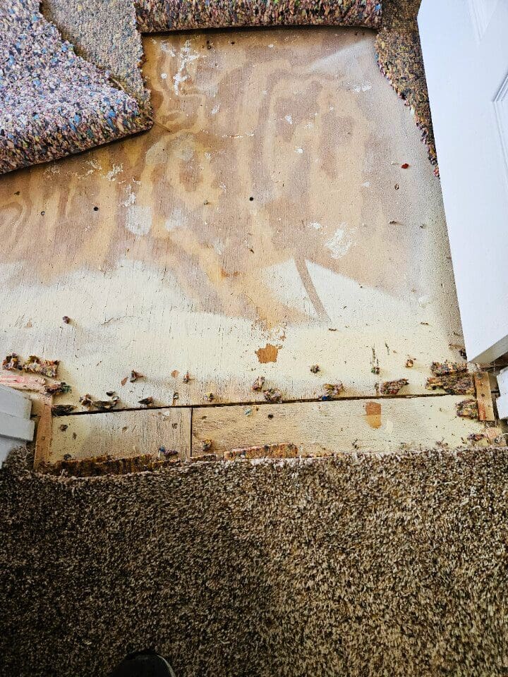 Morrow11 diy home repairs picture